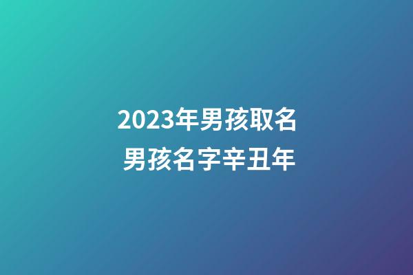 2023年男孩取名 男孩名字辛丑年